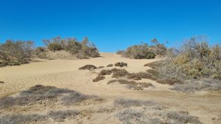 2023-GC--Mapalomas dunas-S123-143.jpg